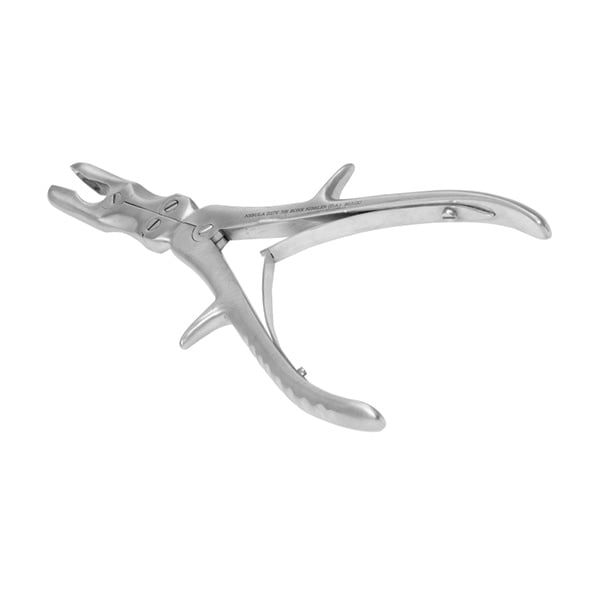 Bone Nibbler (D.A.) (BIG) (S.Q.)